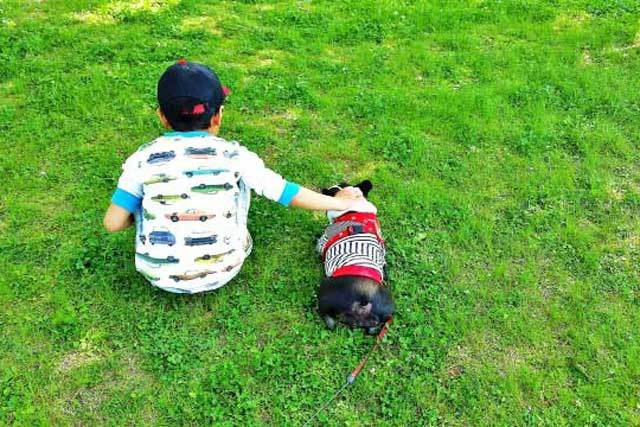 座っている子供と犬