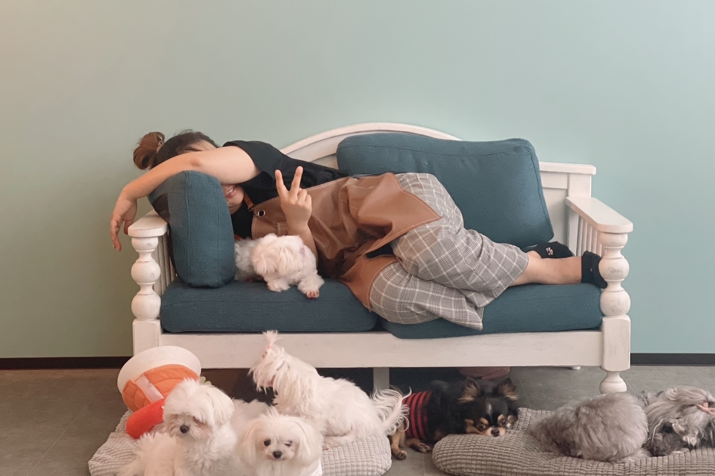 遠くを見つめる白い犬