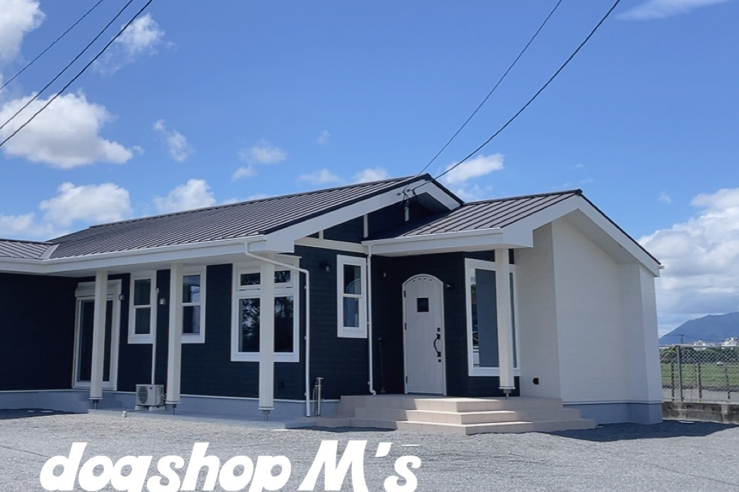 座っている子供と犬