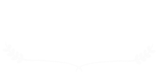 ドッグショップエムズの子犬